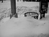2003BigSnow032.jpg