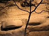 2003BigSnow057.jpg