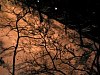 2003BigSnow059.jpg