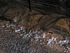 2003BigSnow061.jpg