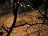 2003BigSnow062.jpg