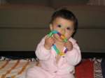 Photo Number 14