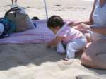 Photo Number 11