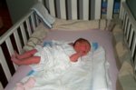 DCP_2834.jpg
79.79 KB
800 x 530
1/9/03