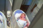 DCP_2836.jpg
67.49 KB
800 x 530
1/9/03