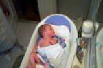 DCP_2837.jpg
79.12 KB
800 x 530
1/9/03