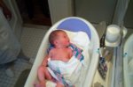 DCP_2838.jpg
80.23 KB
800 x 530
1/9/03