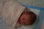 DCP_2847.jpg
53.28 KB
800 x 530
1/9/03