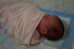 DCP_2848.jpg
50.75 KB
800 x 530
1/9/03