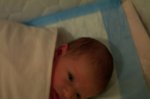 DCP_2849.jpg
46.65 KB
800 x 530
1/9/03