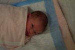 DCP_2850.jpg
45.75 KB
800 x 530
1/9/03