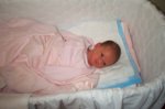 DCP_2851.jpg
66.98 KB
800 x 530
1/9/03