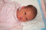 DCP_2852.jpg
67.81 KB
800 x 530
1/9/03