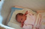 DCP_2892.jpg
55.77 KB
800 x 530
1/12/03