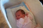 DCP_2894.jpg
50.82 KB
800 x 530
1/12/03