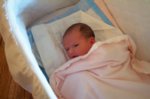 DCP_2896.jpg
61.38 KB
800 x 530
1/12/03