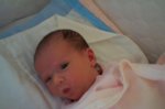 DCP_2897.jpg
49.12 KB
800 x 530
1/12/03