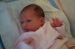 DCP_2898.jpg
46.66 KB
800 x 530
1/12/03