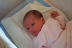 DCP_2901.jpg
53.28 KB
800 x 530
1/12/03