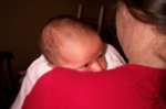 DCP_2907.jpg
48.94 KB
800 x 530
1/12/03