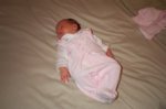 DCP_2908.jpg
82.29 KB
800 x 530
1/12/03