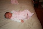 DCP_2909.jpg
73.57 KB
800 x 530
1/12/03