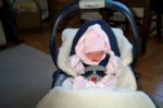 DCP_2942.jpg
88.65 KB
800 x 530
2/2/03