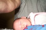 DCP_2951.jpg
61.79 KB
800 x 530
2/2/03