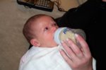 DCP_2958.jpg
72.98 KB
800 x 530
2/2/03