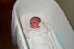 DCP_2975.jpg
55.89 KB
800 x 530
2/2/03