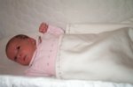 DCP_2986.jpg
51.92 KB
800 x 530
2/2/03