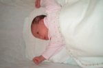 DCP_2987.jpg
51.21 KB
800 x 530
2/2/03