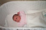 DCP_2988.jpg
55.47 KB
800 x 530
2/2/03