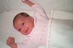 DCP_2989.jpg
55.98 KB
800 x 530
2/2/03