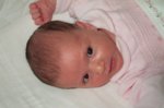 DCP_2991.jpg
77.65 KB
800 x 530
2/2/03