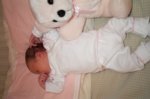 Dcp_2934.jpg
66.29 KB
800 x 530
2/2/03