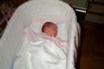 Dcp_2936.jpg
57.86 KB
800 x 530
2/2/03