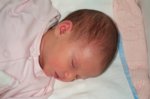 Dcp_2937.jpg
76.47 KB
800 x 530
2/2/03