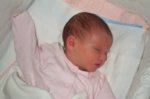Dcp_2938.jpg
54.08 KB
800 x 530
2/2/03