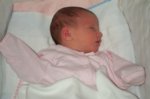 Dcp_2939.jpg
55.62 KB
800 x 530
2/2/03