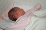 Dcp_2940.jpg
50.03 KB
800 x 530
2/2/03